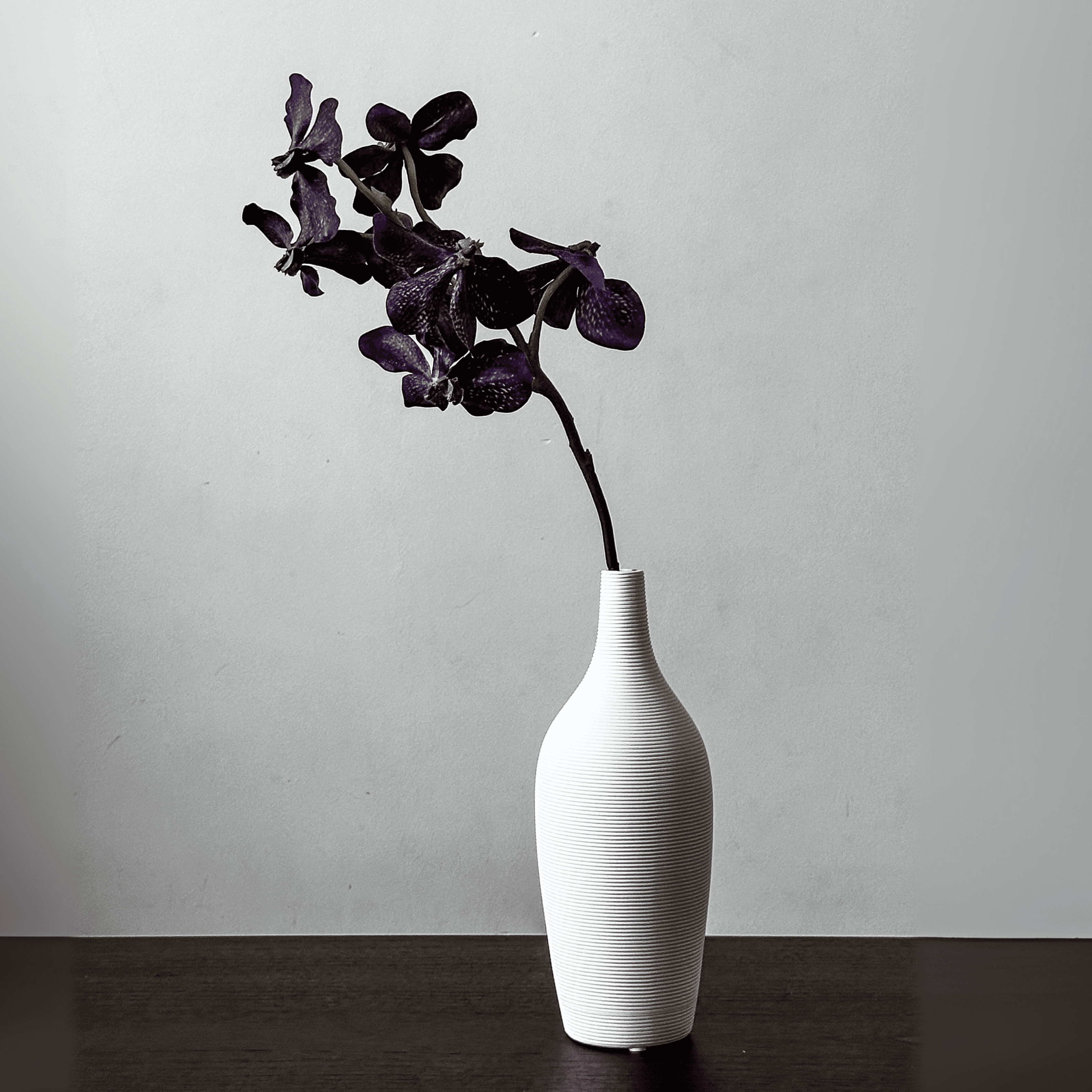 Orquidea Vanda miniatura 5