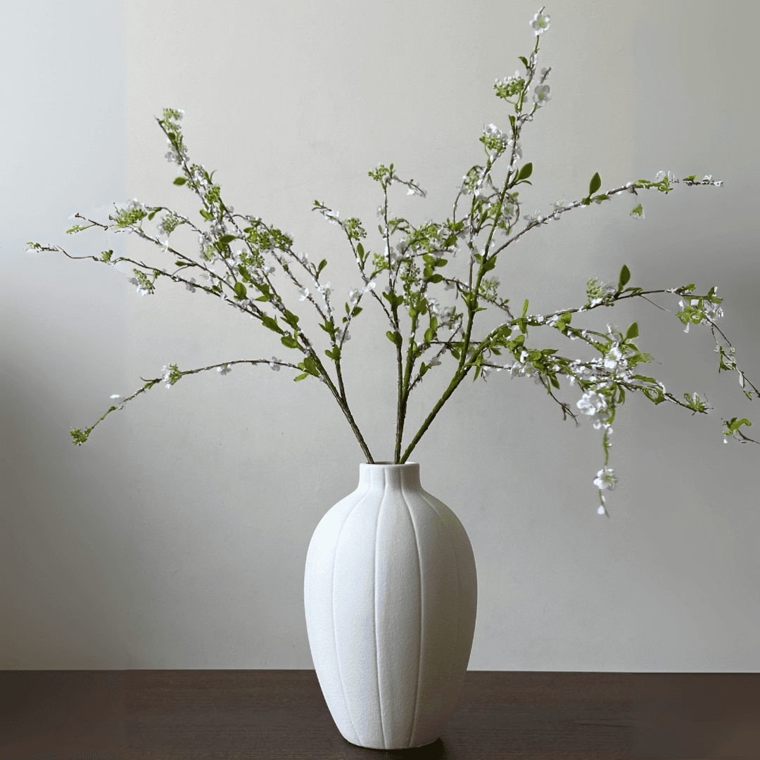 Fontanesia miniatura 4