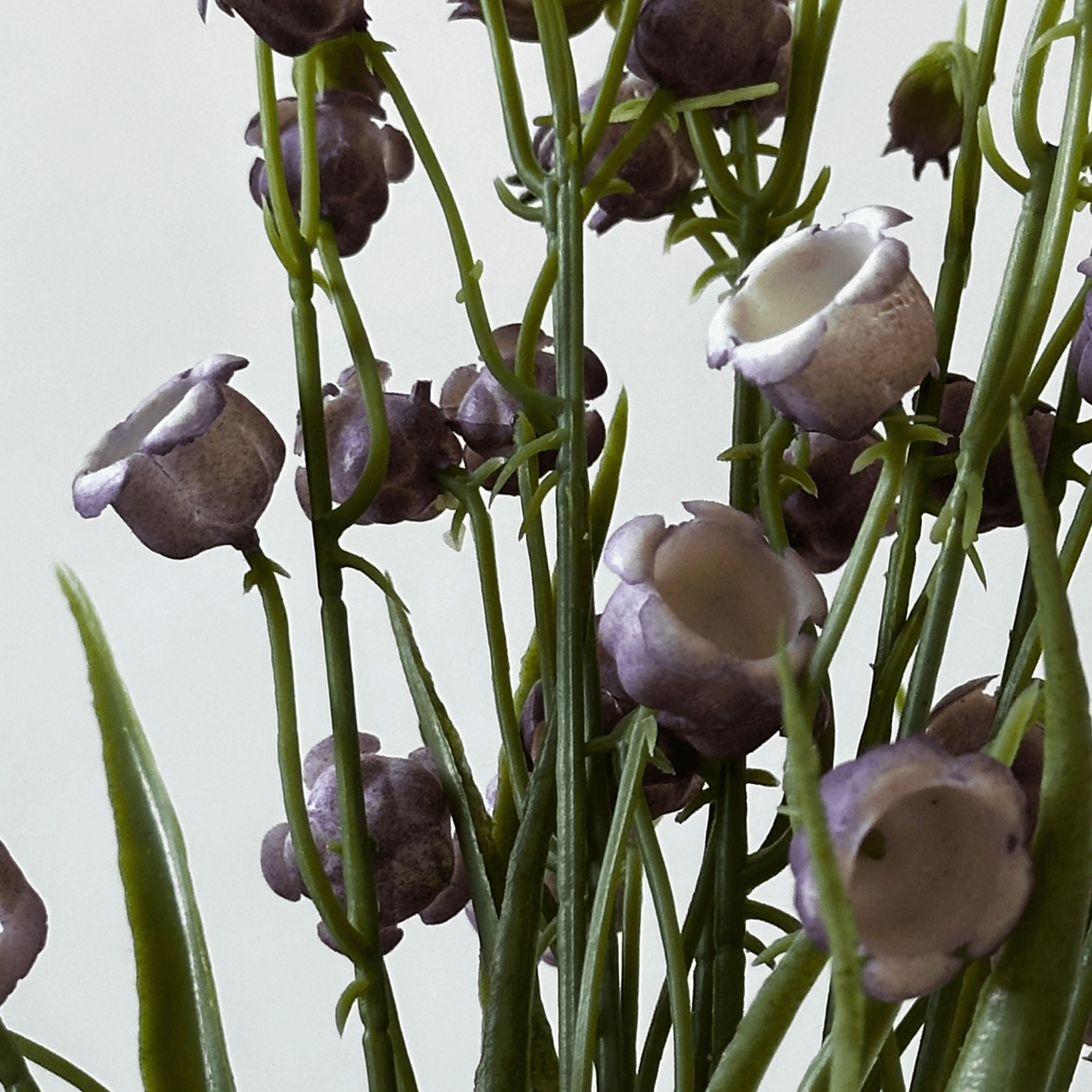 Lirio do Vale miniatura 2